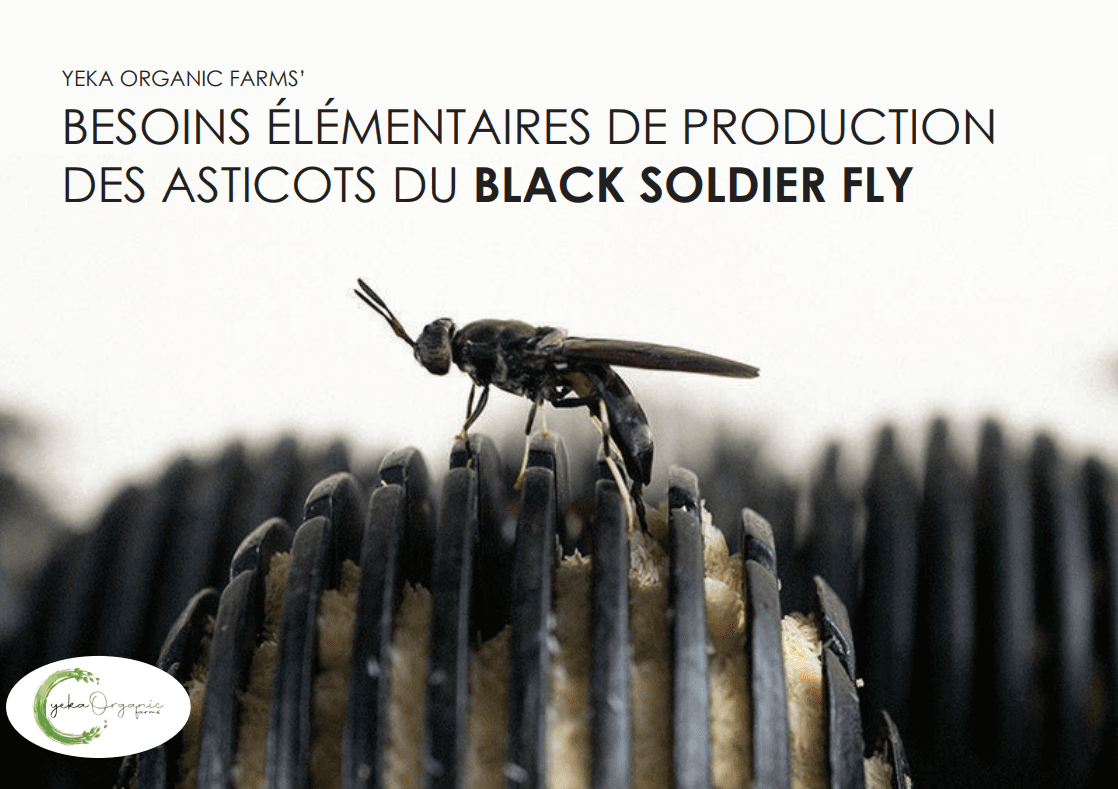 Besoins élémentaires de production des asticots de la mouche soldat noire - Catalogue