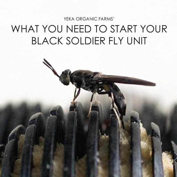 What You Need to Start Your Black Soldier Fly Unit - Catalogue